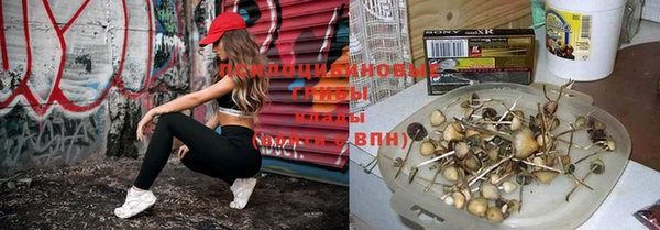 хмурый Абдулино